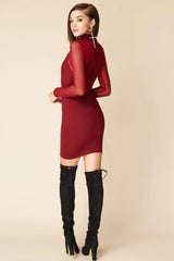 Shayna Mesh Sleeve Club Dress Burgundy